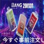 バンリーダー 20000パフ