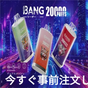 バンリーダー 20000パフ