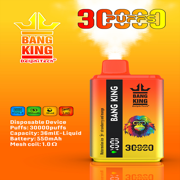 BANGKING 　とくたけ Bang King 30000 Puffs Vape｜30000回吸引・デュアルフレーバー電子